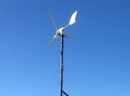 3 Blades Wind Turbine 300W Máy phát điện gió công suất nhỏ Hiệu suất cao Gió thấp bắt đầu cho ngôi nhà cho ánh sáng đường phố